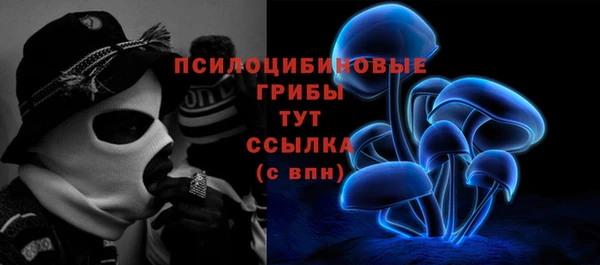 ГАЛЛЮЦИНОГЕННЫЕ ГРИБЫ Армянск