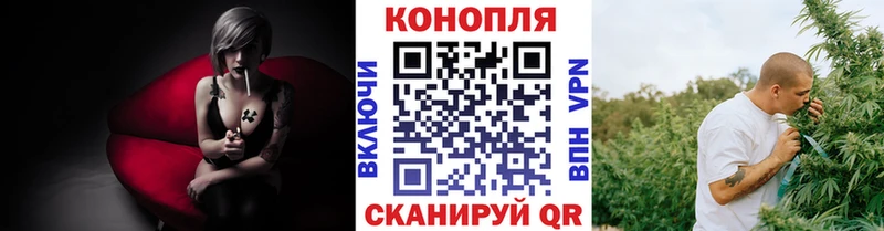 Канабис планчик  kraken ONION  Канаш 